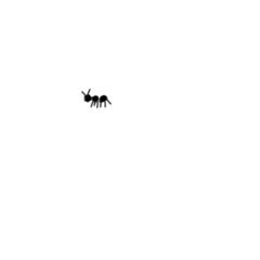 slightly off center drawing of a tiny ant